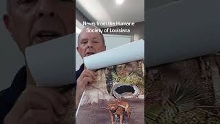 News From The Humane Society Of Louisiana