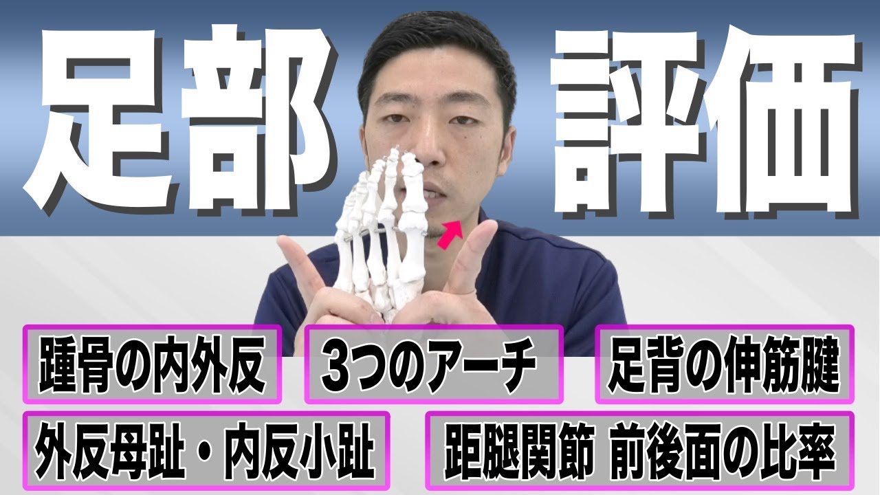 【姿勢評価】ゼロから学ぶ『立位姿勢評価』足部評価の基礎知識