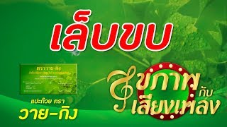 รายการสุขภาพกับเสียงเพลง โดย 