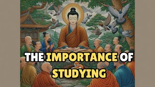 The importance of studying || A short motivational story