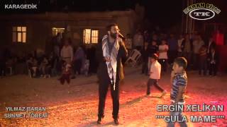 Ergin  Gulo Mome Canlı performans