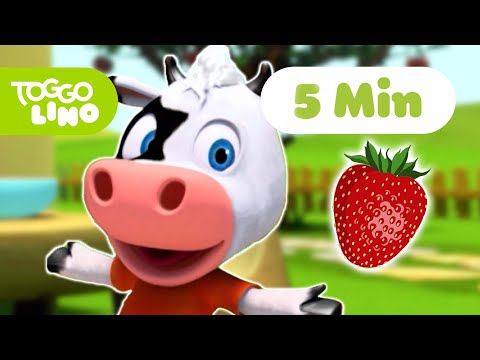 Toggolino fängt Erdbeeren