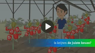 NL | De uitdagingen waar telers mee te maken krijgen bij het gebruik van kalk