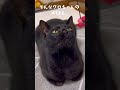 丸くて四角くくて三角