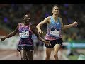 Men's 3000m Steeplechase - Brussels Diamond League 2017 [HD]
