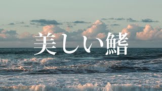 SPITZ - 아름다운 지느러미 (美しい鰭) 명탐정코난 흑철의 어영 OST Piano Cover 피아노 커버