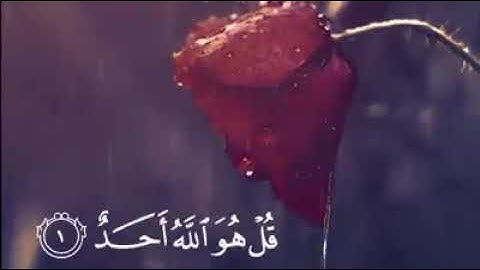 من كررها ثلاث مرات فكأنما ختم القرآن سورة الإخلاص 💚