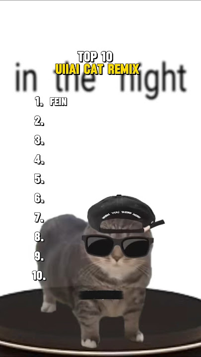 Top 10 Uiiai Cat Remix #cat #meme #remix #top #top10 #fein #umbrella #baby #rightnow #band4band