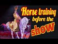 Разминка цирковой лошади перед представлением/Warming up a horse before the circus performance