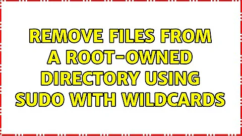 Remove files from a root-owned directory using sudo with wildcards (2 Solutions!!)