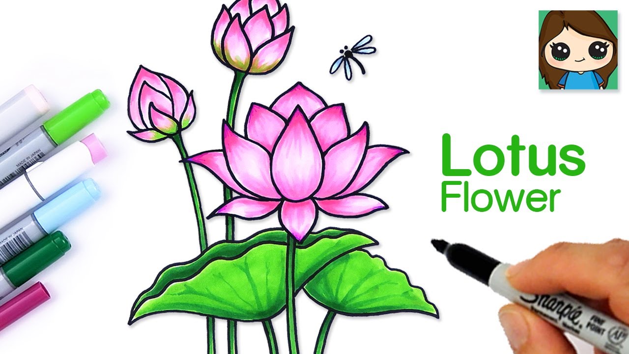 How To Draw A Lotus Flower: A Step-by-Step Guide | by Easy Draw For Kids |  Medium