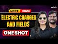 NEET 2026: Electric Charges & Fields | One-Shot | Physics | Vijay Sir