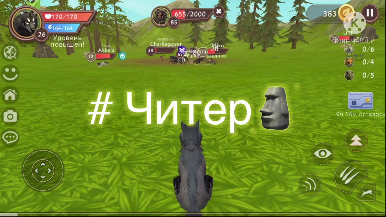 Wild craft много денег