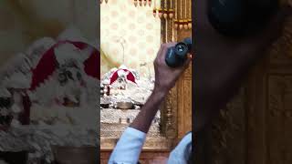 #Radi🌹 Shyam #Shorts