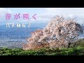 春が咲く / 真木柚布子 Cover:山口えい子