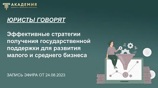 Эффективные стратегии получения государственной поддержки для развития малого и среднего бизнеса