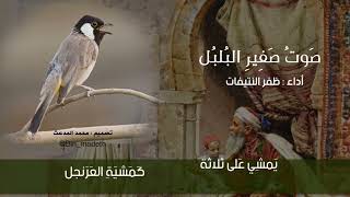 sawto saghir al bulbuli | arabic nasheed screenshot 1