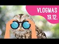 Jennis Vlogmas Tag 19: Vogelbeobachtung?