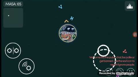 Mitosis The Game/9,9k solo/glue split