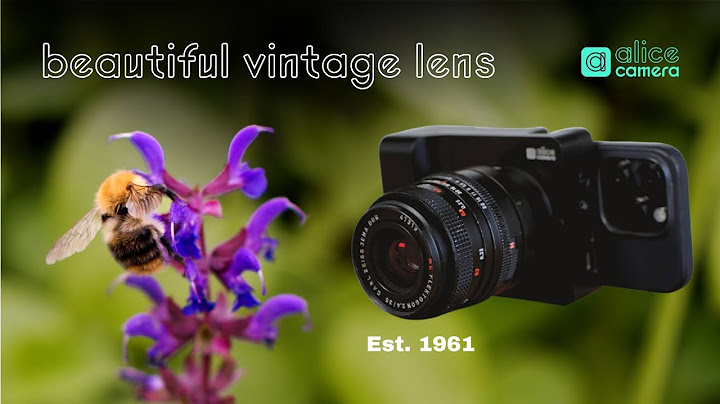 Carl zeiss 35 f2.4 review năm 2024