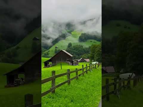 وإذا رأيت ثم رأيت نعيما وملكا كبيرا اجزوني ابراهيم 