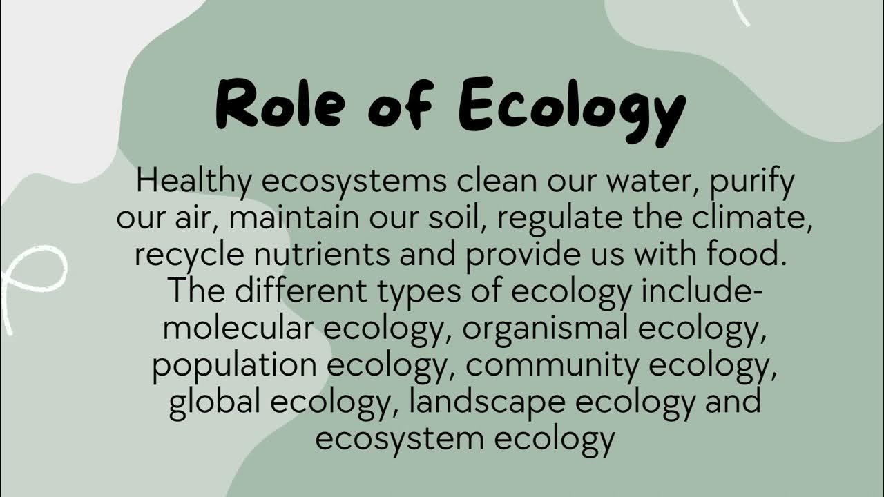 What Is Ecology Importance Of Ecology Animated Video YouTube what-is-ecology-importance-of-ecology-animated-video-youtube