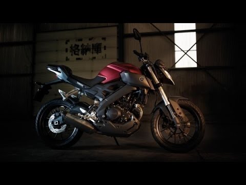 Yamaha mt 250