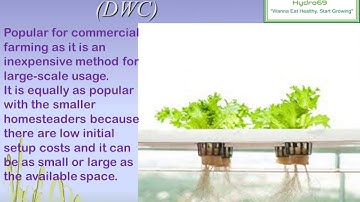 4.Deep Water Culture (DWC) Hydroponics System Tutorial