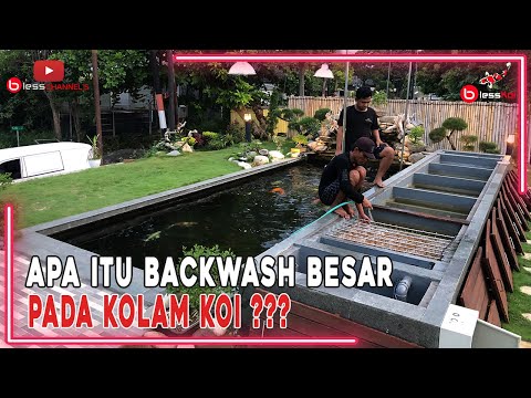 Video: Apa itu backwash kolam?