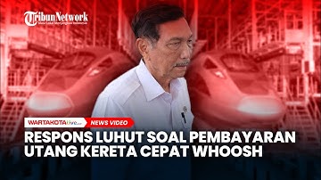 Respons Luhut soal Pembayaran Utang Kereta Cepat Whoosh