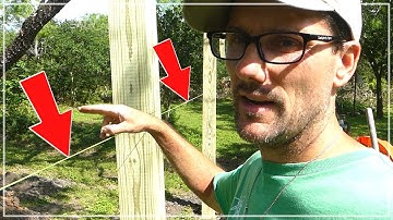 That String Trick - Setting Fence Posts For The Chicken Run