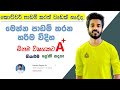 9A ol exam | සාමාන්‍යය පෙළ විභාගෙට A 9ක් | Study tips | Study plan for OL exam | Ganitha Papers OL