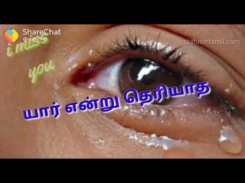Tamil Status Love Video Songs 1080p HD