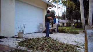 Rakin' the leaves.wmv