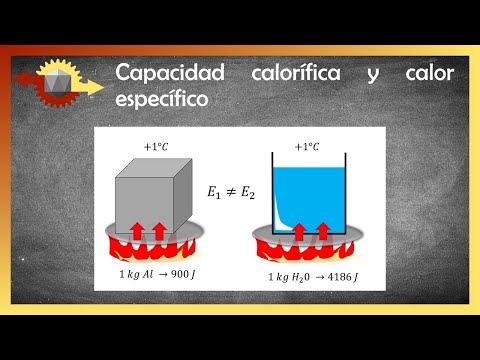 Física | Capacidad