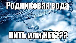 Родниковая вода: пить или не пить?