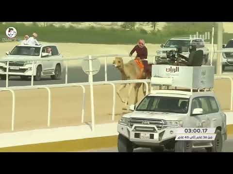 الشوط 3 شاهين ل مبارك ابداح مبارك التواه الهاجري 3 13 5 مهرجان سمو أمير قطر 2022 3 25 الشحانية