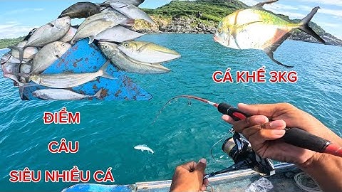 Phần 2 . Đi Câu Jigging Ngày 2 Dính Nhiều Cá Không Tưởng ! Tiếp Tục Dính Cá Khế Mè Quịt . Toàn Cá To