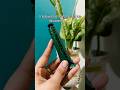 OG Moisturiser Cream for Acne Free Skin #boroline #cream #beauty #skincare #ytshorts #viral #shorts