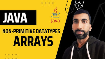 2023 | Java Arrays | Java non primitive datatypes | part 4 | learn java basics | Next | Interface