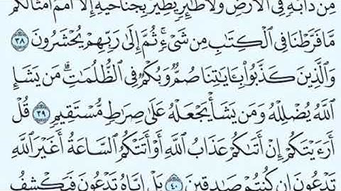 تلاوة سورة الأنعام من 39 إلى الآية 49