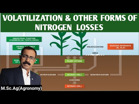 VOLATILIZATION AND OTHER