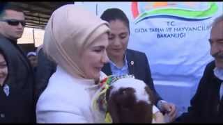 Emine Erdoğan, Bir Dizi Açılış Yapmak Üzere Şanlıurfaya Bir Ziyaret Gerçekleştirdi