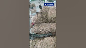 cận cảnh quy trình lái cẩu trong khu công nghiệp với kinh nghiệm của người gần nghỉ hưu