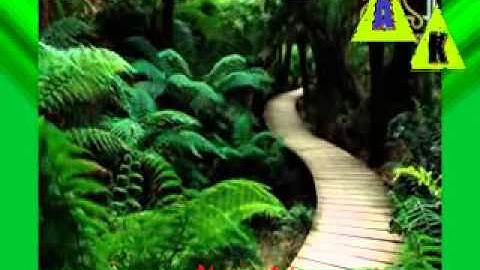 الشيخ الشهيد كا ظم البياتي  سورة غا خر تسجيلات الهدى