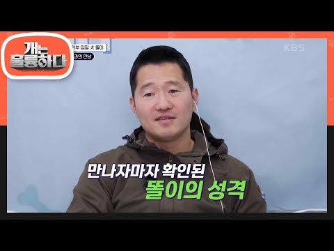 ＂성격이 너무 좋은데요?＂ 제자들과 만나자마자 확인된 똘이의 성격!😁 [개는 훌륭하다/Dogs Are Incredible] | KBS 240129 방송