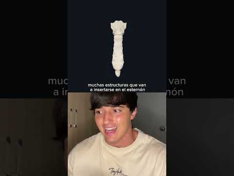 Lo que no