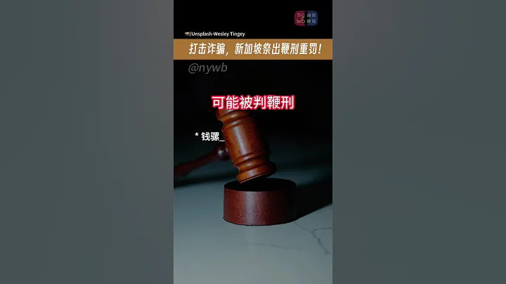 【热点】🇸🇬国会三读通过诈骗犯强制鞭刑｜16至18岁少年重犯也可鞭！Singapore passes new law: Scammers to face mandatory caning #sg