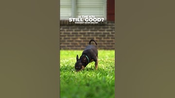 Is the Sony A7II still good?