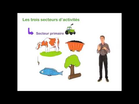 Vidéo: Qu'est-ce que le secteur primaire ?